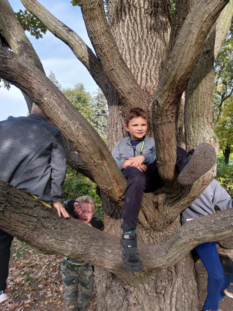 Podzim v Šimkových sadech